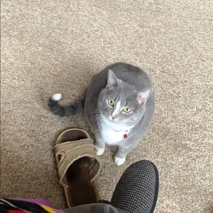 Meet your Posher, Brian